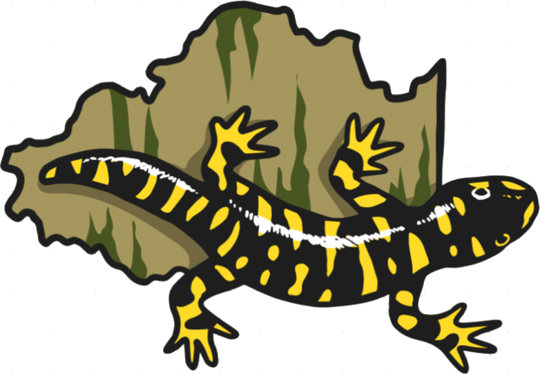 La Salamandre D'or